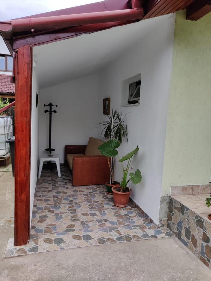 Casa Tenciu Sânpetru Exterior foto