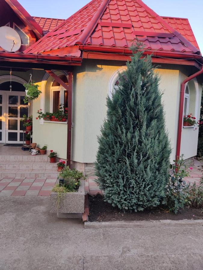 Casa Tenciu Sânpetru Exterior foto